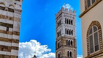 Private tour of the tower of Pisa and Lucca center