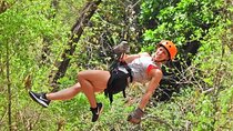Zip line and Monkey Park Activity at Guanacaste