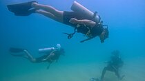 Los Cabos Beginner Scuba Dive Experience