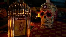 Day of the Dead Night in Xochimilco: Dinner & beer tasting 