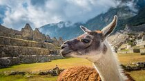 2-Day Short Inca Trail To Machu Picchu | Inti Punku |