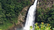 Private Nature Escape to La Ceja Waterfall Adventure