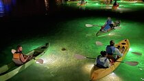 Sharkey's Glass Bottom Fish Feeding LED Night Tour in Clearwater