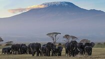 Private Full Day Tour to Amboseli National Park from Nairobi
