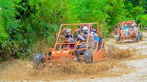 Macao Beach Buggy Tour