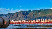 Escape to Lake Bogoria, Flamingo's new home for an overnight safari
