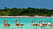 High-End Holbox Tour! Pasion Island & Cenote from Cancun 