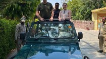 Ranthambore Day Trip from Jaipur with Jeep / Canter Safari