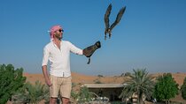 Dubai: Private Falconry Experience & Breakfast at Al Maha Resort