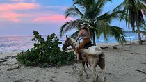 2 Hour Beach Horse Back Riding in Puerto Viejo