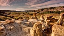 Dinosaurs, Canyons & Ghost Towns: Ultimate Drumheller Day Tour