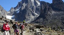 Private 5 Hour Mt. Kenya Hiking Tour with Guide