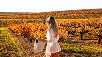 8 Hour Wine Tour and Tasting Experience at McLaren Vale