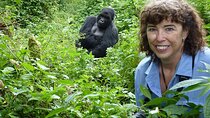2 Day Private Gorilla Trek Safari in Uganda via Kigali