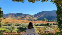 Full Day Private Douro Valley Tour