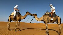 2 Days Luxury Magic Morocco Desert Tour From Fes To Fes