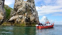 Howth Coastal Boat Tour (Ireland's Eye Ferries 50 mins trip)