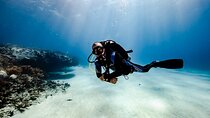 Scuba Diving in Playa del Carmen for Small Groups