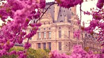 Exclusive Walking Tour of Central Paris With Local Guide