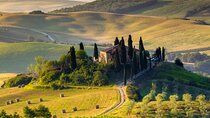 Montepulciano Noble Wines tour in Tuscany from Rome