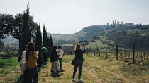 Private Tour from Florence to Pisa Siena S Gimignano and Chianti
