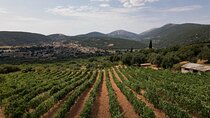 Kefalonia Wine Tour