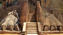All-inclusive Day Tour of Sigiriya & Dambulla from Colombo
