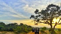 Yala National Park Private Jeep Safari From Colombo & Negombo