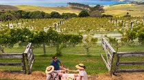 Gourmet Mystery Picnic Experience in Matakana