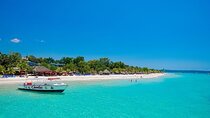 Seven Miles Beach & Rick’s Cafe Private Tour From Montego Bay