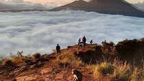 Mount Batur Hiking With Terraced paddy Field Visit