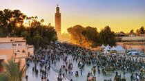 Visit Marrakech city 1 day from Agadir Private