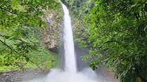 8 Days Costa Rica Rainforest & Coastal Experience 