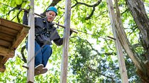3-Hour Ropes Course & Zip Line Adventure 