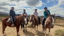 Horseback Riding Adventure in Cusco