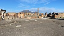 Pompeii Private Tour from Positano 