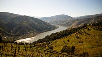 Douro Valley Wine Diversity Full Day Private Tour