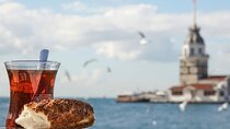 Short Bosphorus Cruise Tour With Hotel Pickup And Audio Guide