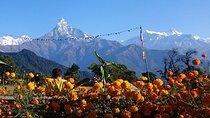 Nepal: 8 Days Kathmandu Pokhara Chitwan Tour
