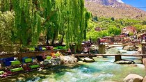 Marrakech: Ourika Valley, Atlas Waterfalls with Guide &Lunch