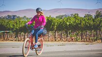 Electric Bike Rental in Livermore