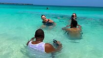 Private Tour 2 Days to Bahía De Las Águilas with Hotel Accommodation
