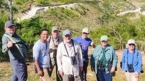 3-Day Bird Watching Tour in the Sierra de Bahoruco