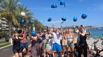 Small Group Guided E-bike Tour in Nice's Organic Vineyard