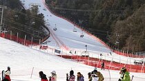 Full Day Private Tour Nami Island & Gangchon Elysian Ski