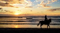 Cartagena: Horseback Riding at the Beach During Day or Sunset