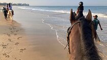 Private Horse Riding Activity in Port City