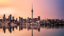 Auckland City Highlights Full Day Tour