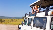 4-Day Group Safari to Tarangire, Serengeti & Ngorongoro Crater