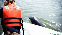Full Day Tour Mangroves Dolphins and Birds from Guayaquil 